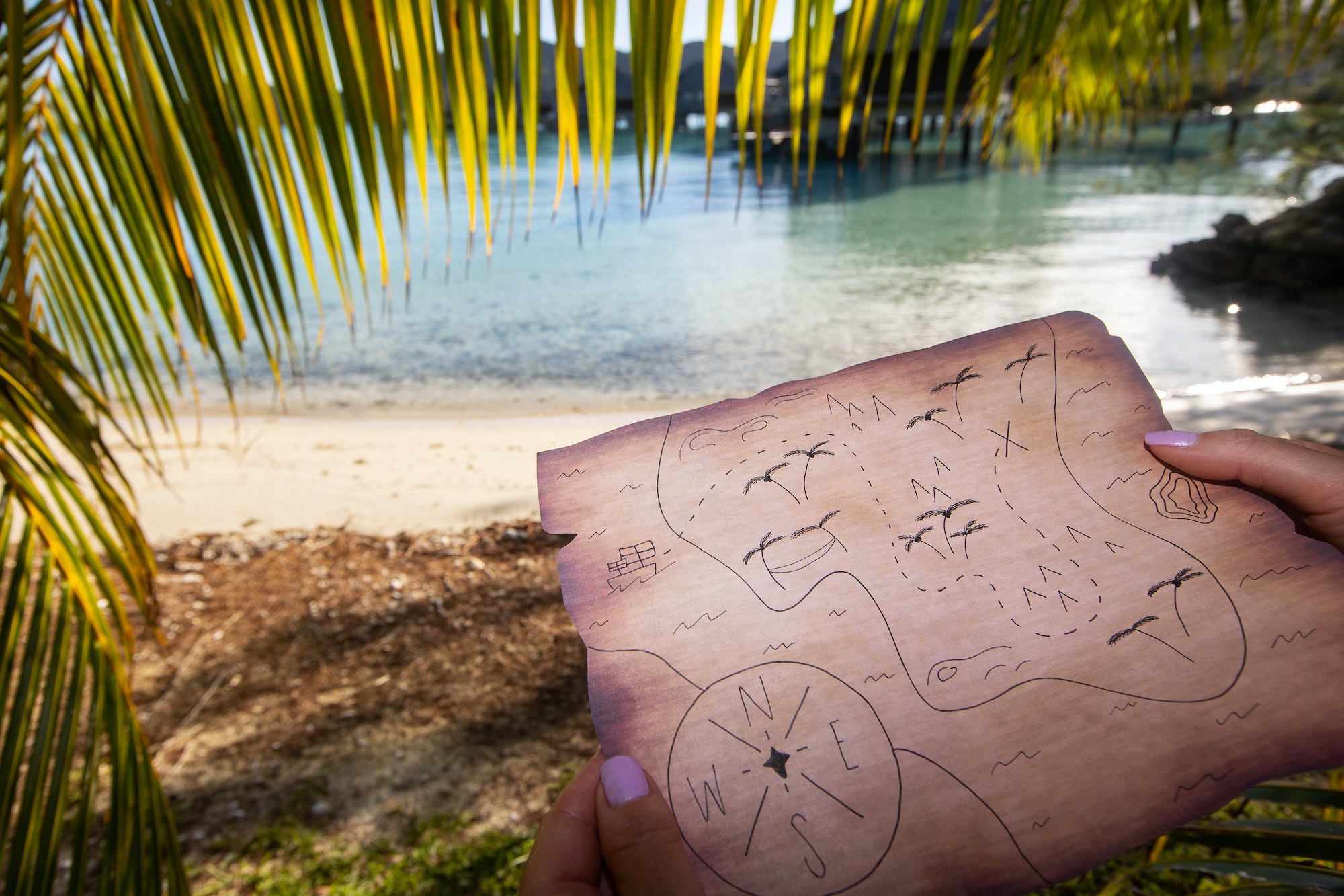 A treasure map on a tropical island